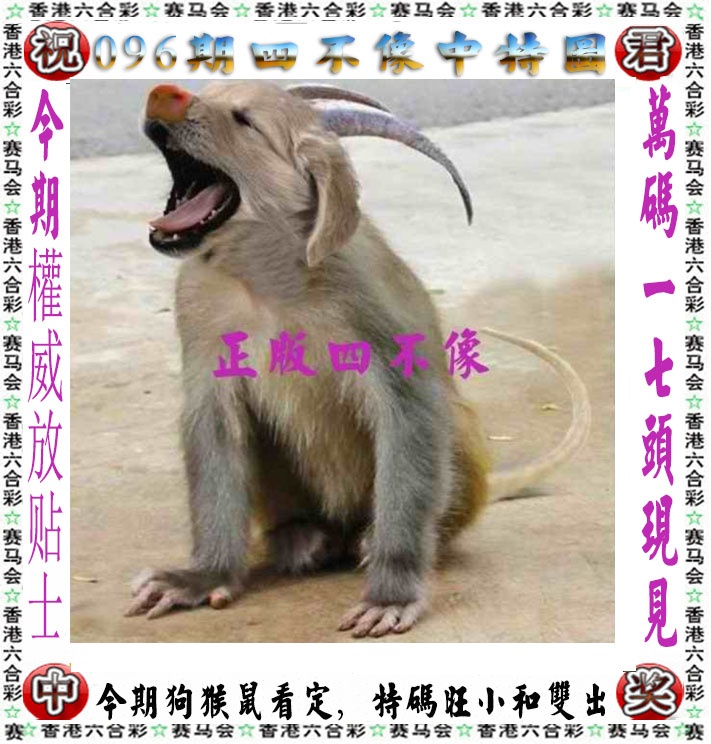图片加载中...