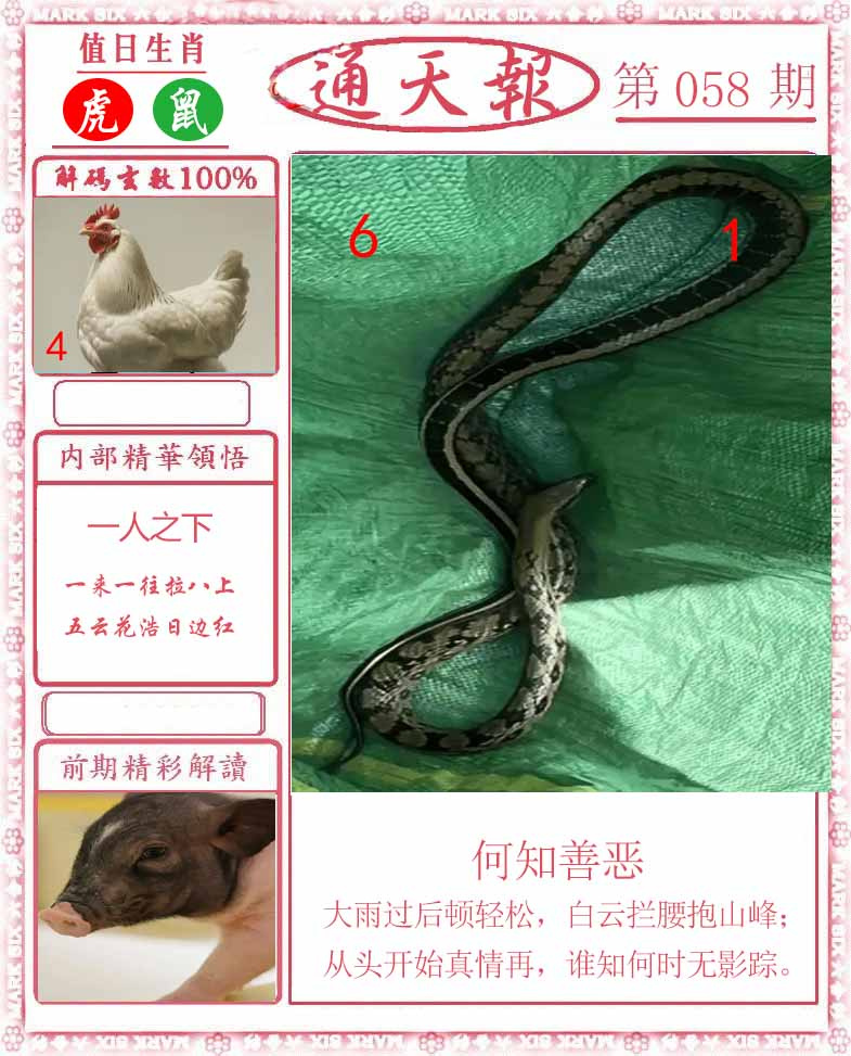 图片加载中...