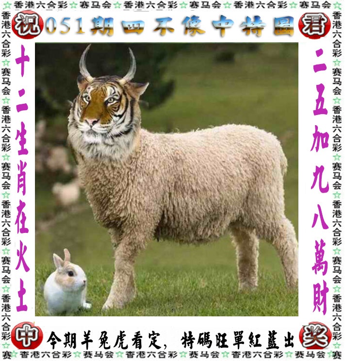 图片加载中...