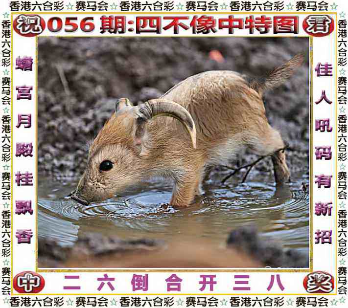 图片加载中...