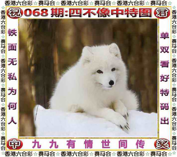 图片加载中...