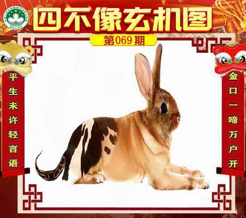 图片加载中...