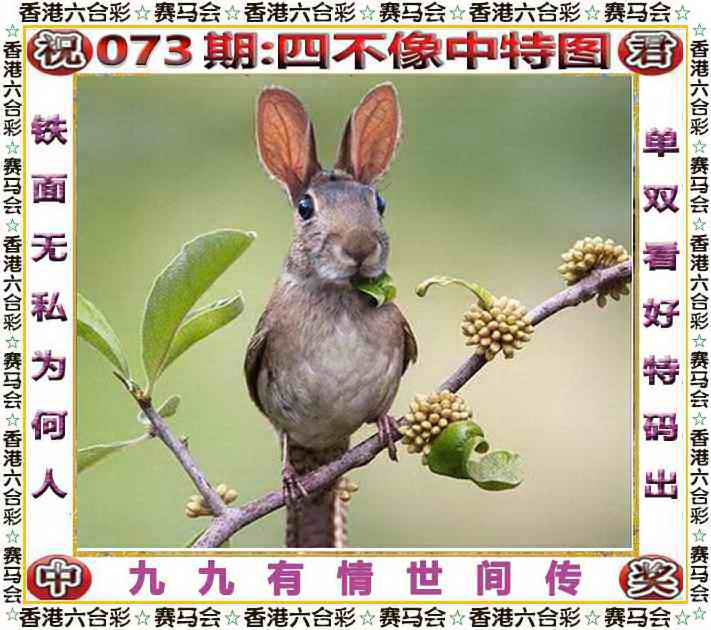 图片加载中...
