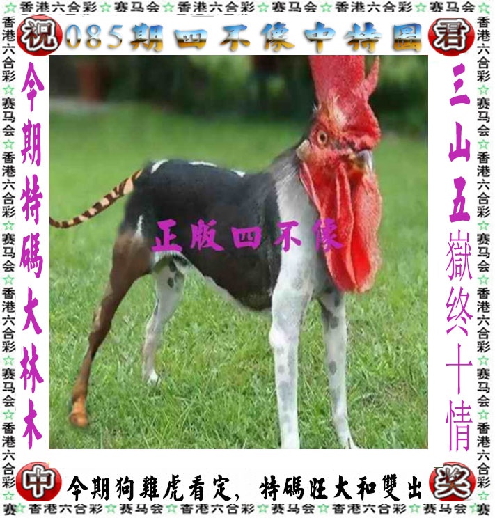 图片加载中...