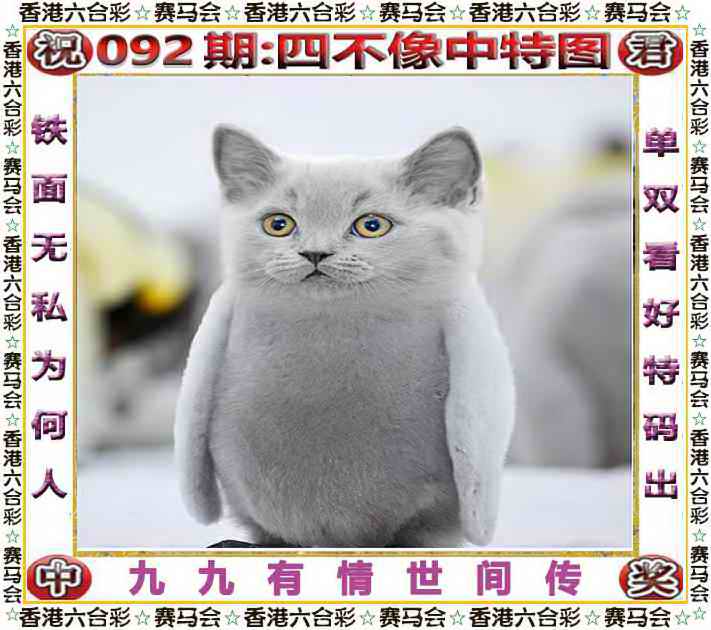 图片加载中...