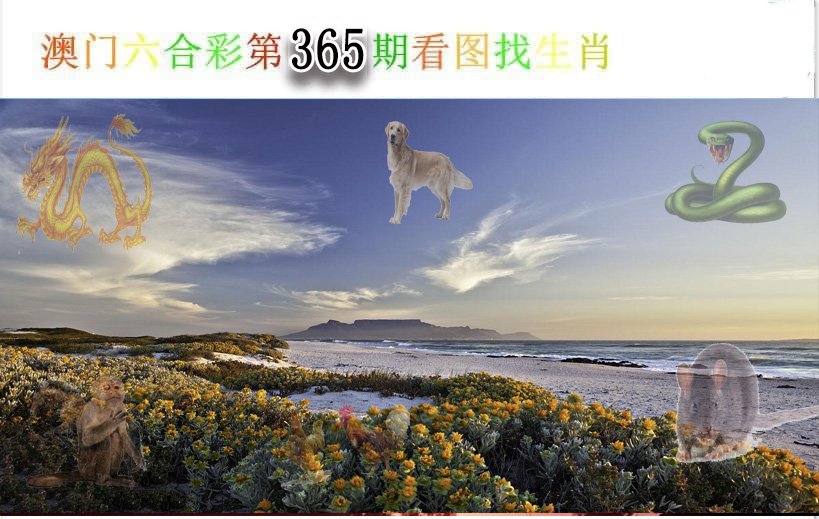 加载中……