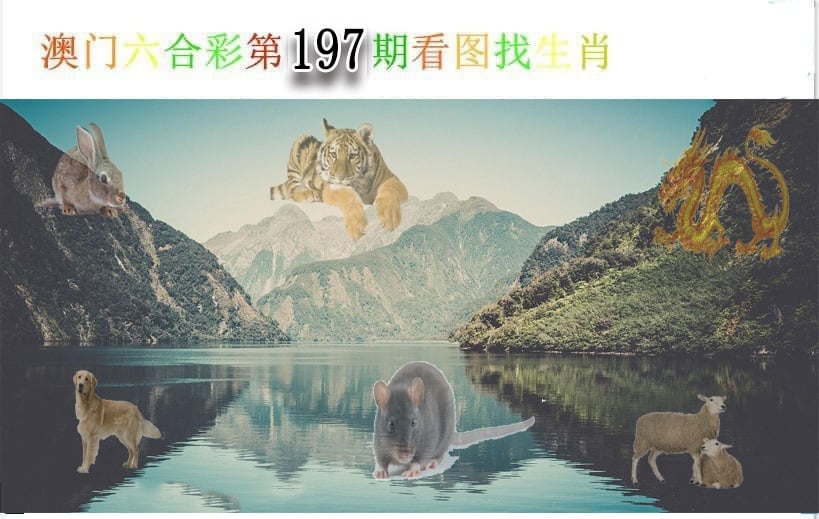 加载中……