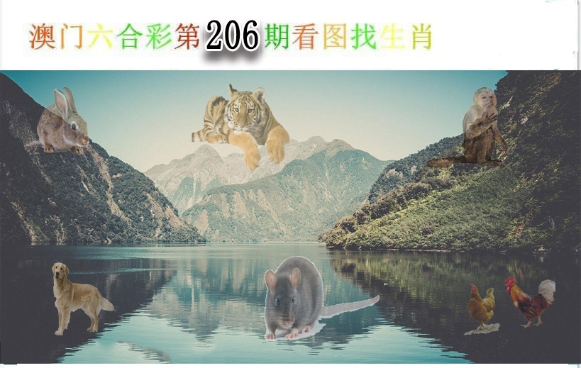 加载中……