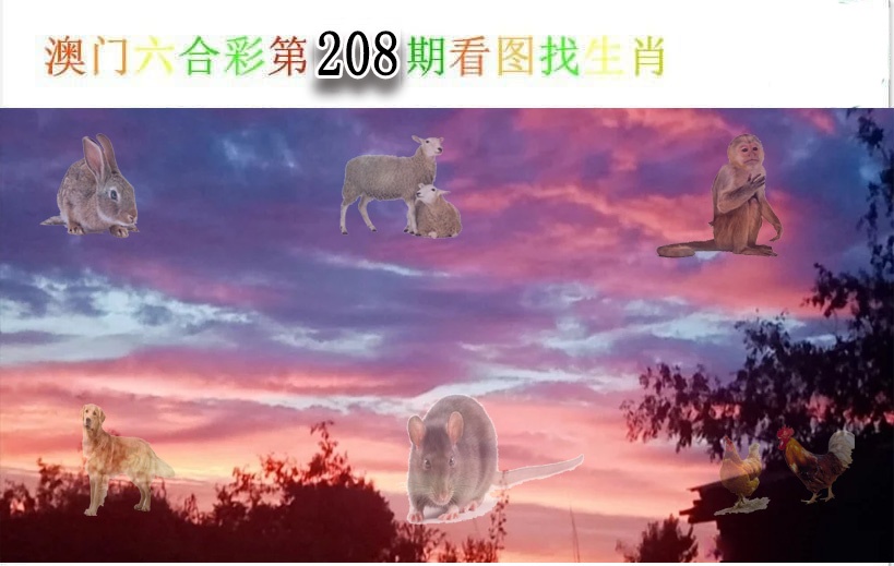 加载中……