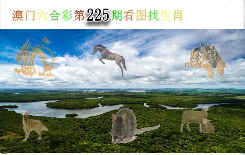 加载中……