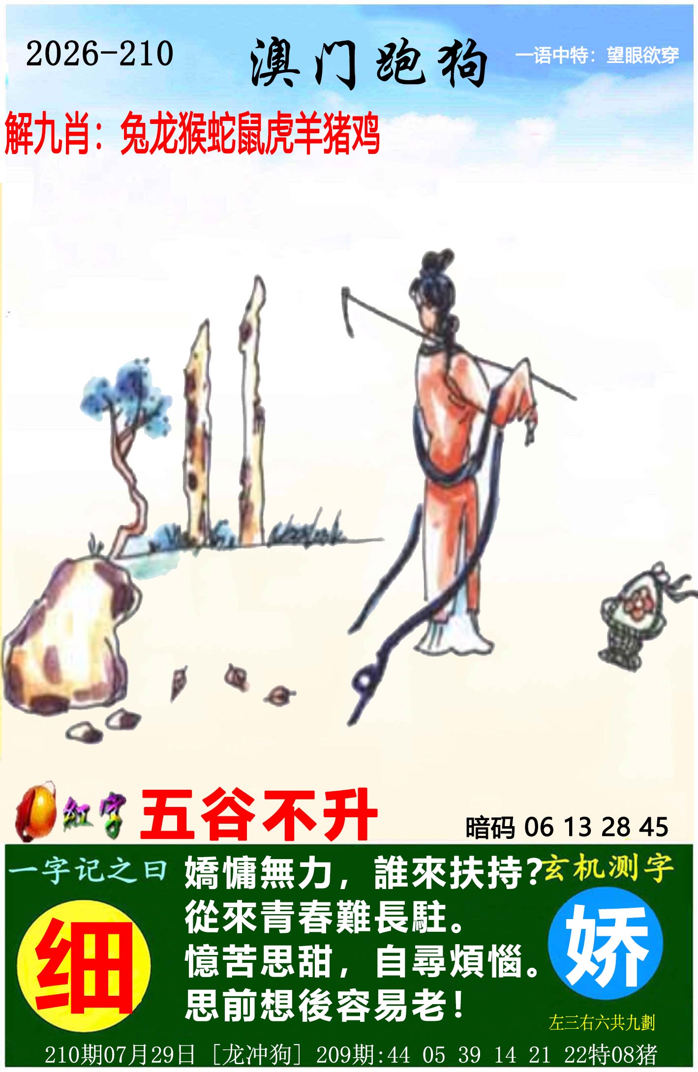 图片正在更新中……